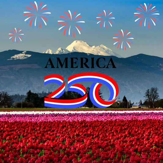 America 250 patriotic celebration featuring Mount Baker above the Skagit Valley tulip fields with red, white, and blue fireworks, commemorating the 250th anniversary of American Independence near Cedar Ridge Estates in Mount Vernon, Washington.