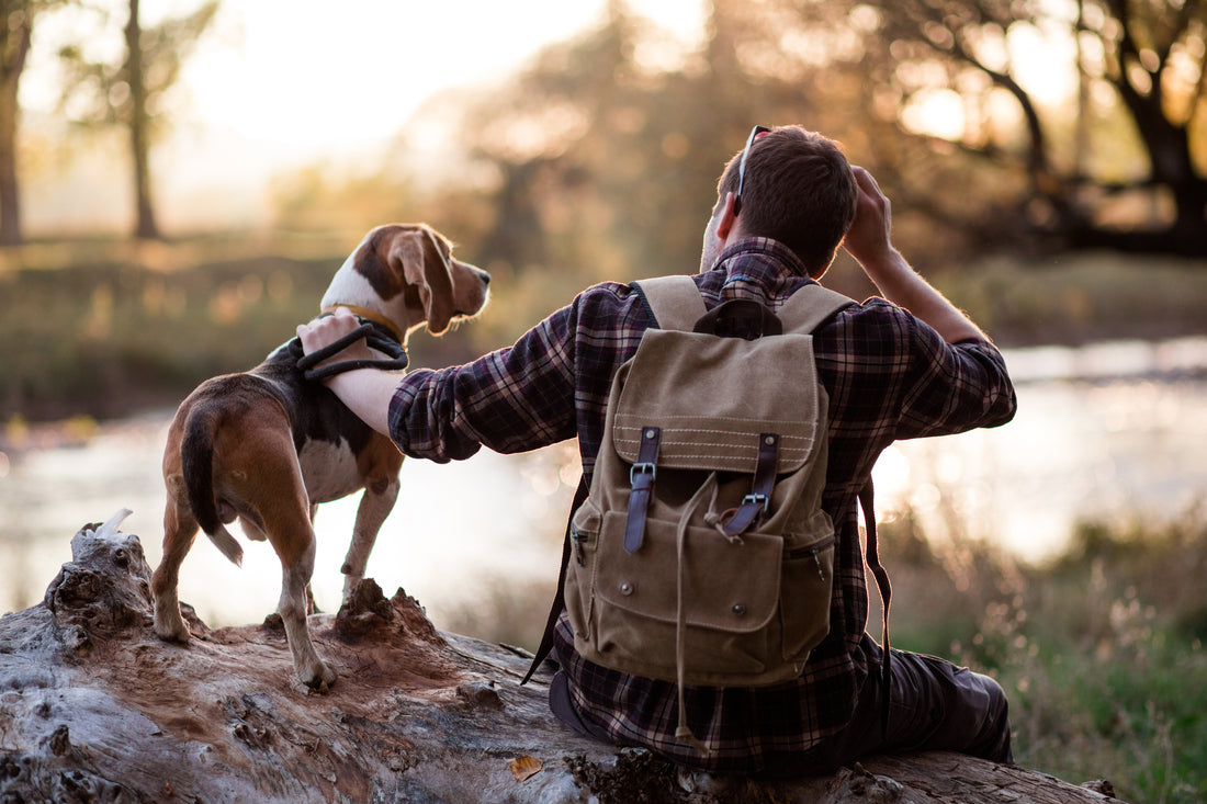 Man with a backpack responsibly walking his dog on a leash.