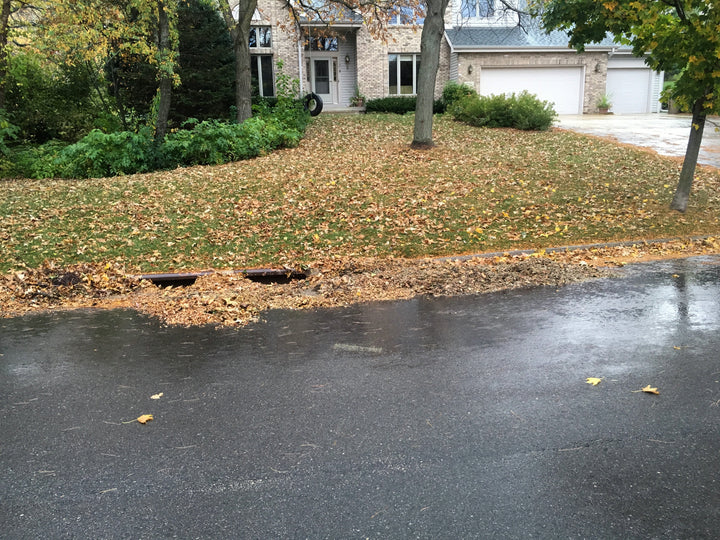 Autumn leaves gathered around roadside storm-drain openings in a residential area.